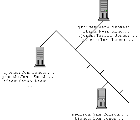 network without a network information service